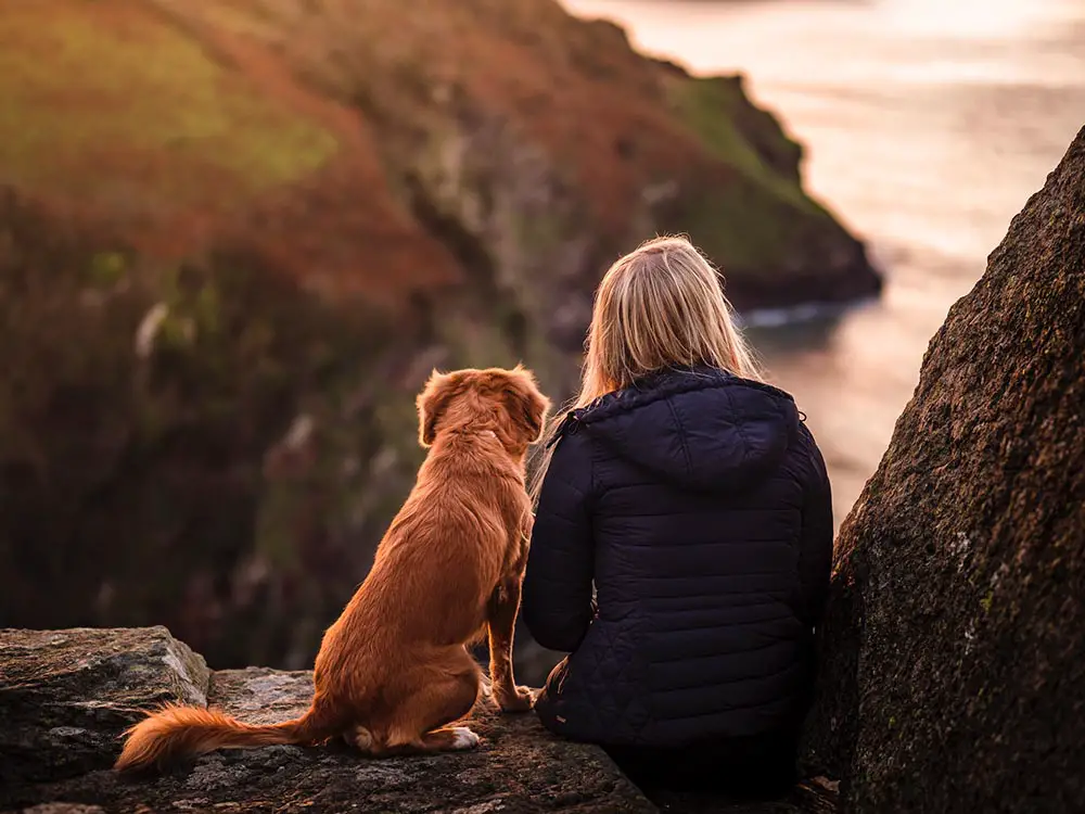 Canine and Cardio: The Health Benefits of Regular Walks and Exercises with Your Dog